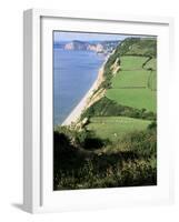 Coastline Near Sidmouth, Devon, England, United Kingdom-Cyndy Black-Framed Photographic Print