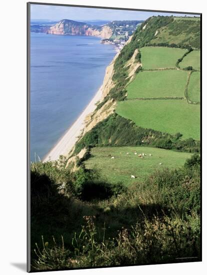 Coastline Near Sidmouth, Devon, England, United Kingdom-Cyndy Black-Mounted Photographic Print