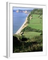 Coastline Near Sidmouth, Devon, England, United Kingdom-Cyndy Black-Framed Photographic Print