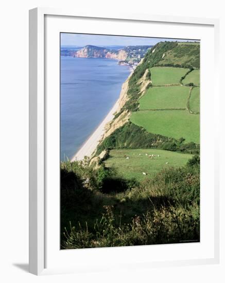 Coastline Near Sidmouth, Devon, England, United Kingdom-Cyndy Black-Framed Photographic Print