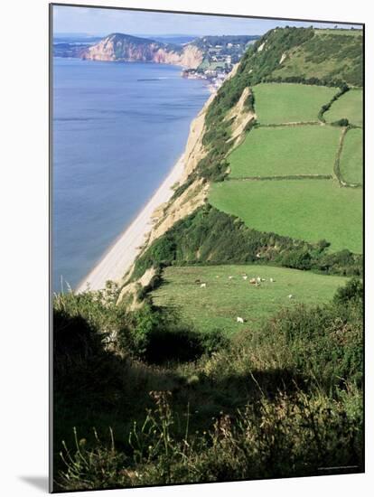 Coastline Near Sidmouth, Devon, England, United Kingdom-Cyndy Black-Mounted Photographic Print