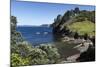 Coastline Near Tuateawa, Coromandel Peninsula, Waikato, North Island, New Zealand, Pacific-Stuart-Mounted Photographic Print