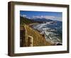 Coastline North of Cannon Beach, Ecola State Park, Oregon, USA-Joe Restuccia III-Framed Photographic Print