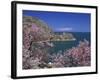 Coastline of Akdamar Island on Lake Van, with Mount Ararat on Horizon, Anatolia, Turkey Minor-Woolfitt Adam-Framed Photographic Print