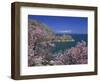 Coastline of Akdamar Island on Lake Van, with Mount Ararat on Horizon, Anatolia, Turkey Minor-Woolfitt Adam-Framed Photographic Print