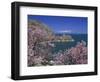 Coastline of Akdamar Island on Lake Van, with Mount Ararat on Horizon, Anatolia, Turkey Minor-Woolfitt Adam-Framed Photographic Print