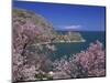 Coastline of Akdamar Island on Lake Van, with Mount Ararat on Horizon, Anatolia, Turkey Minor-Woolfitt Adam-Mounted Photographic Print