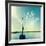 Coastline Sailboat Explore V.2-Sue Schlabach-Framed Art Print