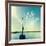 Coastline Sailboat Explore V.2-Sue Schlabach-Framed Art Print