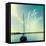 Coastline Sailboat Explore V.2-Sue Schlabach-Framed Stretched Canvas