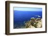 Coastline, San Pietro Island, Carloforte, Sardinia, Italy-Stefano Amantini-Framed Photographic Print