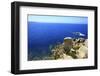 Coastline, San Pietro Island, Carloforte, Sardinia, Italy-Stefano Amantini-Framed Photographic Print