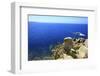 Coastline, San Pietro Island, Carloforte, Sardinia, Italy-Stefano Amantini-Framed Photographic Print