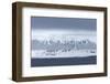 Coastline, Spitsbergen, Svalbard, Norway, Scandinavia, Europe-Thorsten Milse-Framed Photographic Print