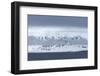 Coastline, Spitsbergen, Svalbard, Norway, Scandinavia, Europe-Thorsten Milse-Framed Photographic Print