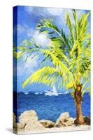 Coastline Summer I - In the Style of Oil Painting-Philippe Hugonnard-Stretched Canvas