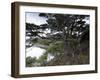 Coastline, Ushuaia, Tierra Del Fuego National Park, Argentina, South America-Thorsten Milse-Framed Photographic Print