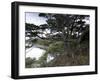 Coastline, Ushuaia, Tierra Del Fuego National Park, Argentina, South America-Thorsten Milse-Framed Photographic Print