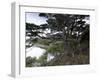 Coastline, Ushuaia, Tierra Del Fuego National Park, Argentina, South America-Thorsten Milse-Framed Photographic Print