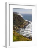 Coastline View from Overlook, Cape Perpetua Scenic Area, Oregon, USA-Jamie & Judy Wild-Framed Photographic Print