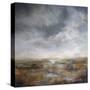 Coastline-Bill Philip-Stretched Canvas