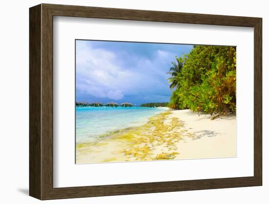 Coastline-Lizon-Framed Photographic Print