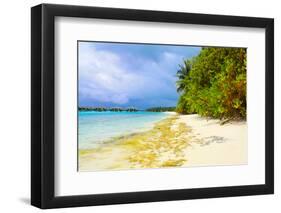 Coastline-Lizon-Framed Photographic Print