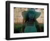 Coastroop-Craig Satterlee-Framed Photographic Print