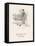 Coat and Fox Terrier 1927-null-Framed Stretched Canvas
