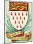 Coat of Arms For the City of Chichester-Dan Escott-Mounted Giclee Print