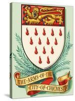 Coat of Arms For the City of Chichester-Dan Escott-Stretched Canvas