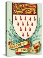 Coat of Arms For the City of Chichester-Dan Escott-Stretched Canvas
