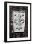 Coat of Arms of Florence, Porta San Frediano-null-Framed Giclee Print