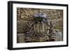 Coat of Arms of San Marino, Republic of San Marino-null-Framed Giclee Print