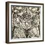 Coat of Arms of the Germanic Empire-Albrecht Dürer-Framed Giclee Print