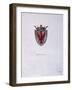 Coat of Arms of the House of Nibbia from Novara, Italy, 14th Century-null-Framed Giclee Print