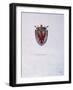 Coat of Arms of the House of Nibbia from Novara, Italy, 14th Century-null-Framed Giclee Print