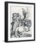 Coat of Arms with a Skull, 1503-Albrecht Dürer-Framed Giclee Print