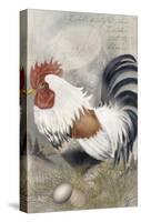 Coat of Many Colors Rooster-Alma Lee-Stretched Canvas