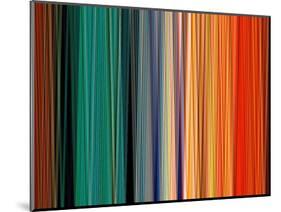 Coat of Many Colors-Ruth Palmer-Mounted Art Print