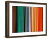 Coat of Many Colors-Ruth Palmer-Framed Art Print