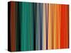 Coat of Many Colors-Ruth Palmer-Stretched Canvas