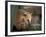 Coati Mundi, Argentina-Walter Bibikow-Framed Photographic Print