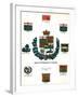 Coats of Arms and Flags of Canada-null-Framed Giclee Print