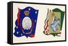 Coats of Arms for Palio of Siena for Nicchio-null-Framed Stretched Canvas