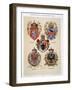 Coats of Arms from the Austro-Hungarian Empire, from 'Heraldischer Atlas'-Hugo Gerard Strohl-Framed Giclee Print