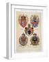 Coats of Arms from the Austro-Hungarian Empire, from 'Heraldischer Atlas'-Hugo Gerard Strohl-Framed Giclee Print