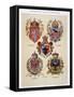 Coats of Arms from the Austro-Hungarian Empire, from 'Heraldischer Atlas'-Hugo Gerard Strohl-Framed Stretched Canvas