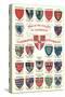 Coats of Arms of the Colleges of Cambridge-null-Stretched Canvas