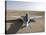 Cob Speicher, Tikrit, Iraq - a T-6 Texan Trainer Aircraft of the Iraqi Air Force-null-Stretched Canvas